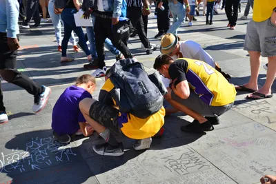 DSC_7188 (Large).JPG